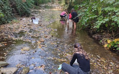 Image du projet ATE, Albi un territoire engagé pour la biodiversité