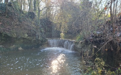 Image du projet ATE fluviale : La cascade d'Albias