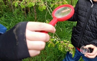 Image du projet Biodiversité Waldhambach