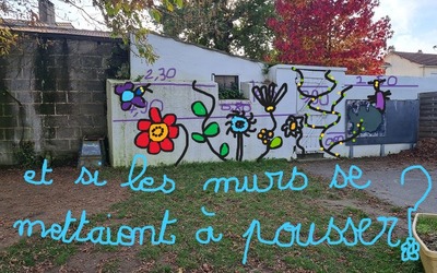 Image du projet Quand les murs poussent