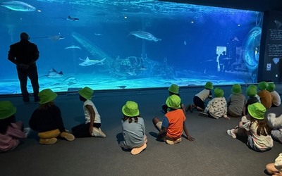 Image du projet classe de mer Wurtz au Pouligen 