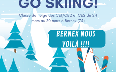 Image du projet Les Carnotiens font du ski ! 
