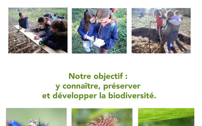 Image du projet De l’école à la nature : une ATE pour découvrir, protéger et transmettre