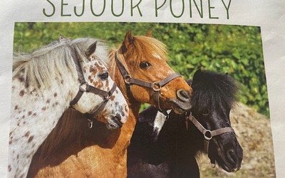 Image du projet Séjour poney en Bourgogne pour 3 classes de Casanova