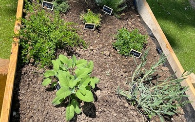 Image du projet ATE Le jardin de l'école d'Anglars