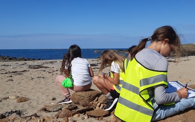 Image du projet AME Aire Marine Éducative du Collège Notre-Dame-du-Port de l'Ile d'Yeu
