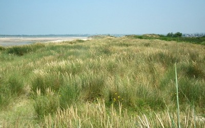 Image du projet Classe de mer CM2