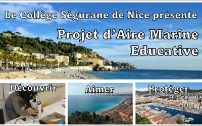 Image du projet Une Aire Marine Educative gérée par la 6ème Méditerranée du Collège Ségurane de Nice