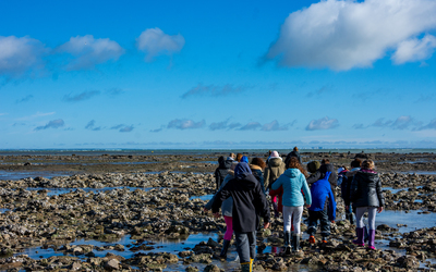 Image du projet Aire Marine Educative de la Pointe de Prouard 