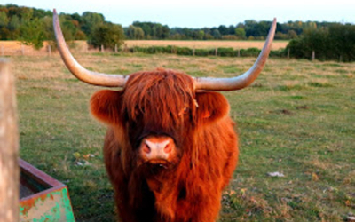 Image du projet Sortie scolaire à la ferme