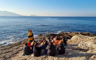 Image du projet A.M.E." Anse de la Fausse-Monnaie" à Marseille : voyage dans le sanctuaire pélagos.