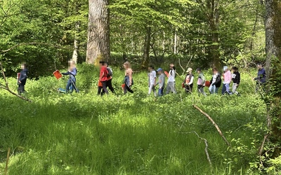 Image du projet ATE DE LA SARRE (COLLÈGE DES 2 SARRES ET ÉCOLE DE HERMELANGE)