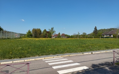 Image du projet ATE gérée par les 6e du collège Guillaume de Lamarche