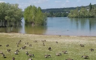 Image du projet Vive les énergies renouvelables et préservons notre forêt !