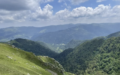 Image du projet Séjour scolaire dans les Vosges