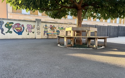 Image du projet Classe découverte