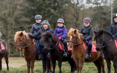 Image du projet Classe découverte Poneys