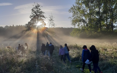 Image du projet Découverte de l'aire éducative de Rugles