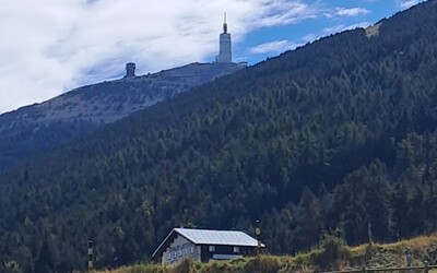 Image du projet Les CM1/CM2 de Malemort-du-Comtat en classe verte