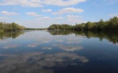 Image du projet ATE "Notre projet nature"