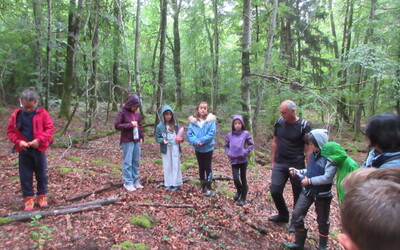 Image du projet ATE forêt école ARC-EN-BARROIS- PNF