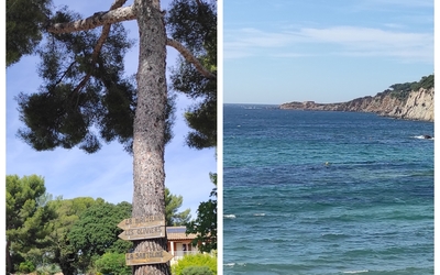Image du projet Classe découverte Mer Sanary