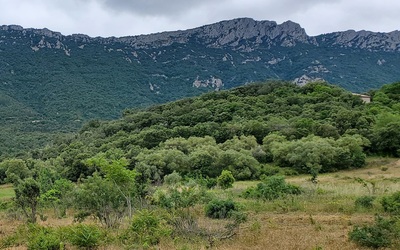 Image du projet ATE des élèves de l'école de Duilhac-sous-Peyrepertuse