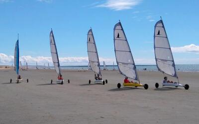 Image du projet Les élèves du collège Les Courlis découvrent le milieu marin 