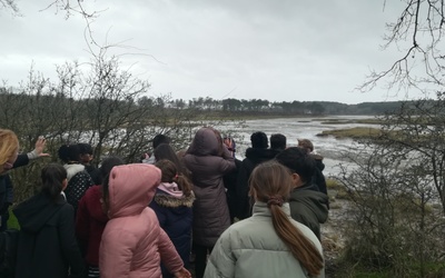 Image du projet AME des Rives du Vincin-Ecole Armorique-Vannes