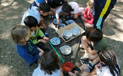 Image du projet les GS de l'école Kergomard en classe verte
