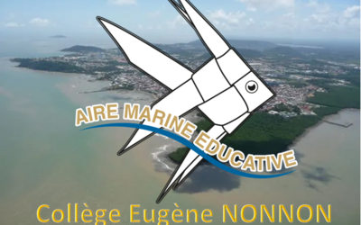 Image du projet AME : Fonctionnement de L'AME du CLG E. Nonnon