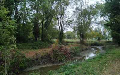 Image du projet découvrir un milieu naturel dans le quartier : faune, flore; écosystème