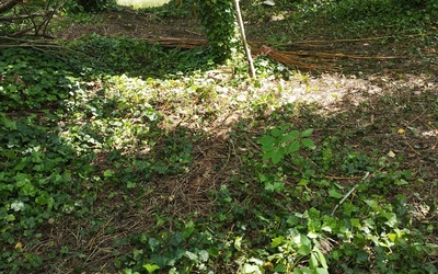 Image du projet Aire éducative Fluviale des Hortillonnages de Rivery