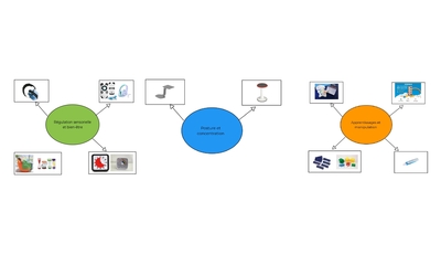 Image du projet Des aménagements inclusifs pour les élèves du dispositif ULIS