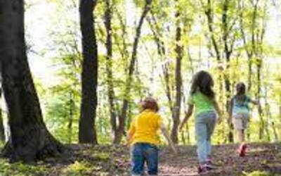 Image du projet Classe découverte Nature