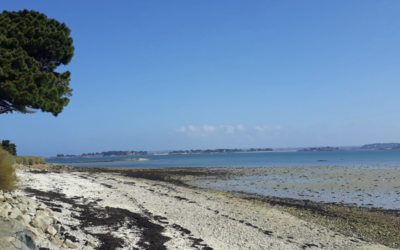 Image du projet Les classes coopératives des cm2 du Bois d'Emery partent à la mer