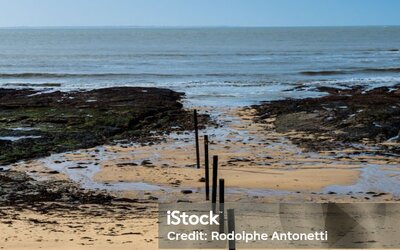 Image du projet Classe tranplantée développement durable Préfailles