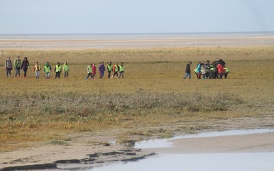 Image du projet Classe transplantée en Baie de Somme Noyelles-Godault