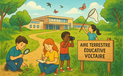 Image du projet Aire éducative Voltaire