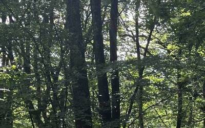 Image du projet Découvrir une Aire éducative