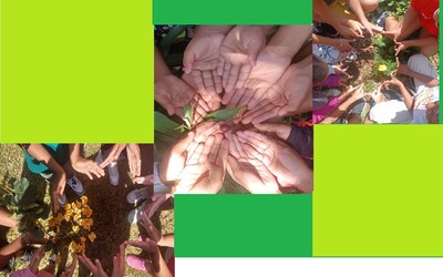 Image du projet 1, 2, 3 c'est parti  ! Pour l'aire éducative de la classe CM1 du Guillaume (Réunion).