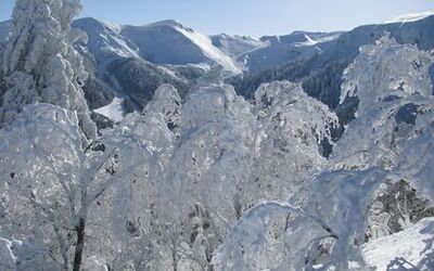 Image du projet Des Sanitas à la Bourboule - Tous à la montagne 