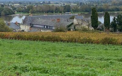 Image du projet Au bord de la Loire avec les CE2 de l'école Albert Camus