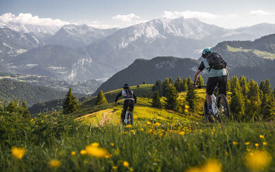 Image du projet Classe verte CM2 Beaupré - Juin 2026