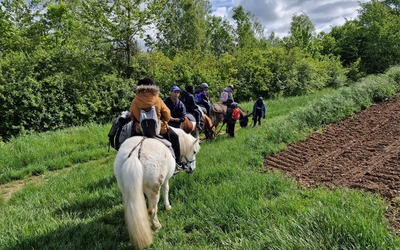 Image du projet Tous les CP de l'école Le Nôtre à poney!