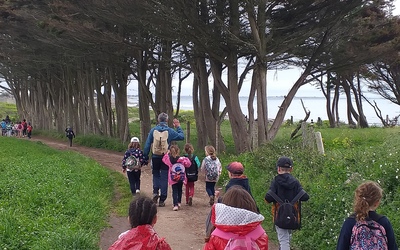 Image du projet Classe de mer 2026