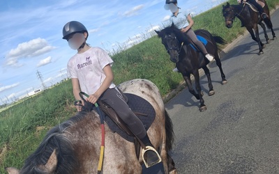 Image du projet A cheval au collège Béranger