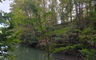 Image du projet ATE à Lafrançaise entre lac et forêt gérée par les CE2/CM de l'école Jean Baylet de Lunel.