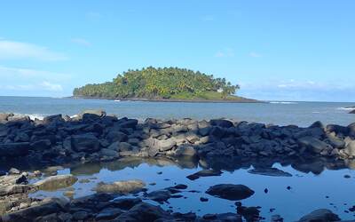 Image du projet A la découverte des trésors de Guyane