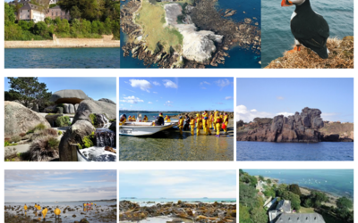 Image du projet Découvrir la richesse des océans pour devenir un éco-citoyen attentif et engagé